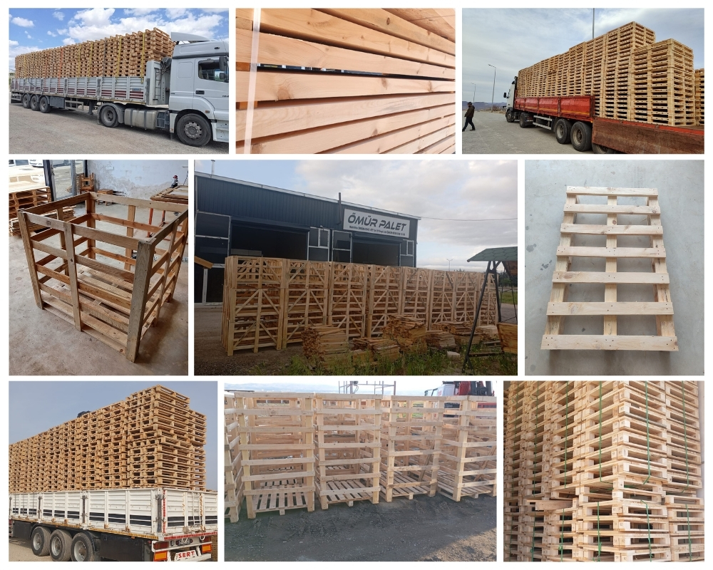 Maiden Newton Wooden Pallets, Buy Wooden Pallets Wholesale